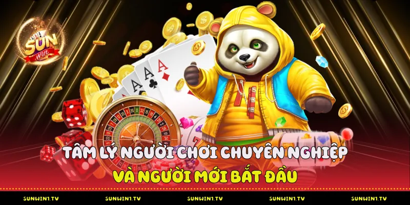 Tâm Lý Đánh Tài Xỉu - Chìa Khóa Vàng Dẫn Đến Chiến Thắng Tại Sunwin Tâm lý người chơi chuyên nghiệp và người mới bắt đầu